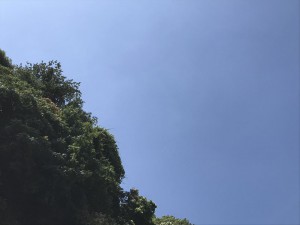 風景写真