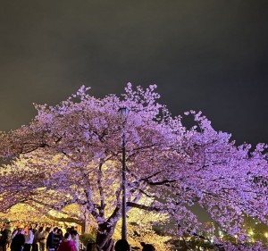 風景写真